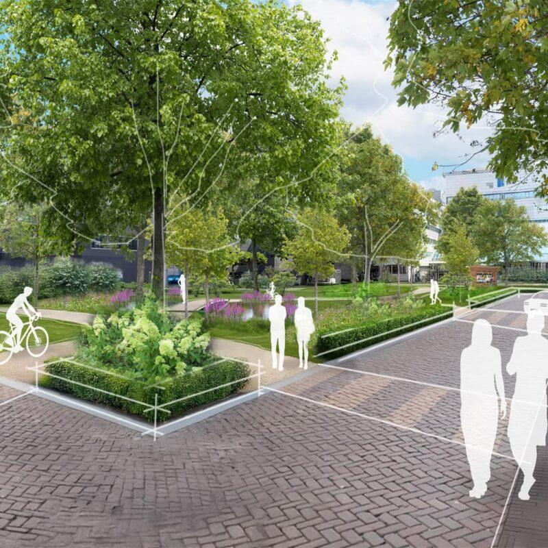 Terreinplan – Daltonlaan